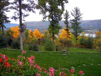 View of Valley and Trees